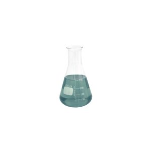 Erlenmeyer